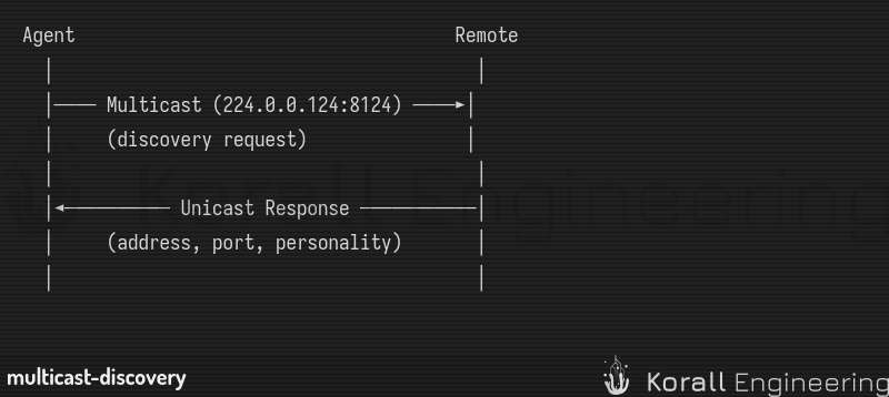 Multicast Discovery